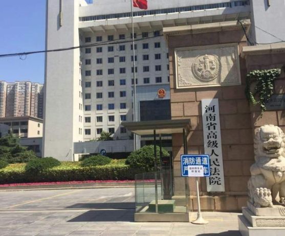 河南省高級人民法院項目
